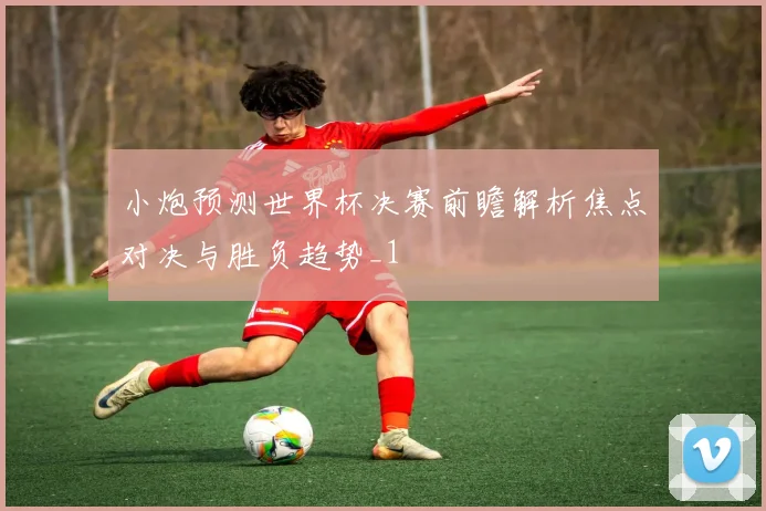 小炮预测世界杯决赛前瞻解析焦点对决与胜负趋势_1