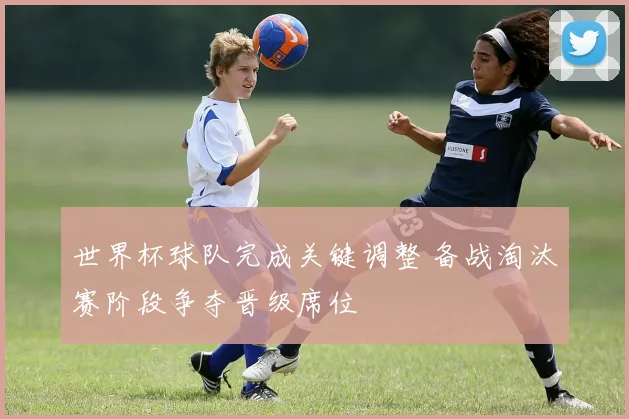 世界杯球队完成关键调整 备战淘汰赛阶段争夺晋级席位