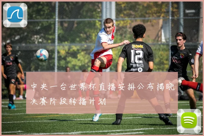 中央一台世界杯直播安排公布揭晓决赛阶段转播计划