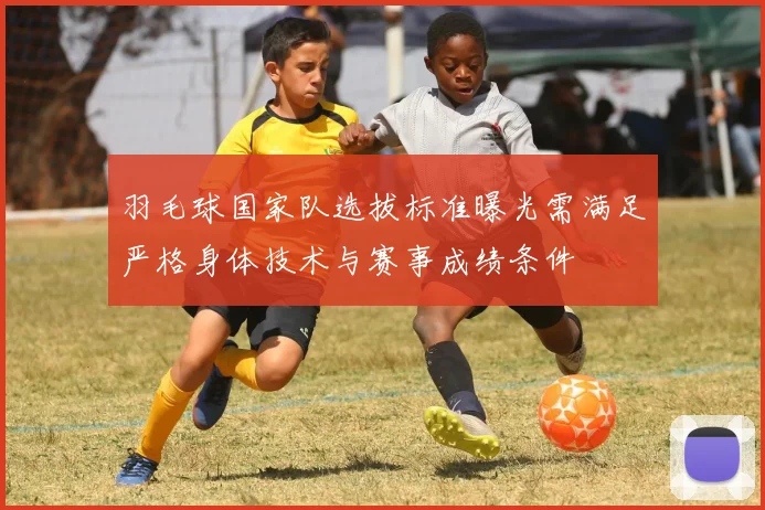 羽毛球国家队选拔标准曝光需满足严格身体技术与赛事成绩条件