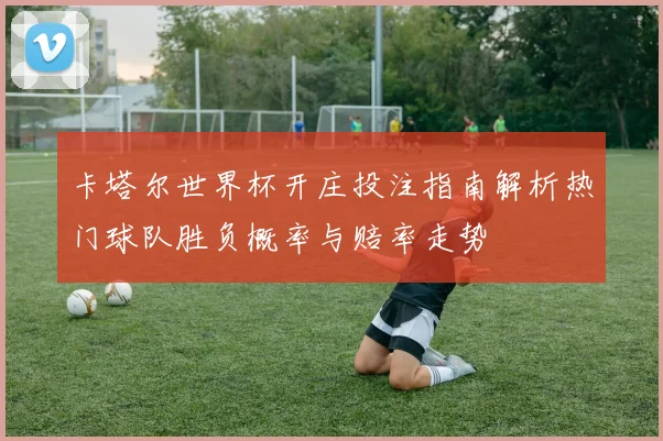 卡塔尔世界杯开庄投注指南解析热门球队胜负概率与赔率走势